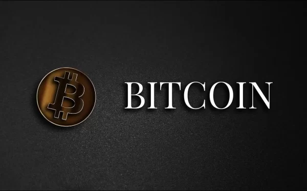 Bitcoin (BTC) to $80,000 and Higher